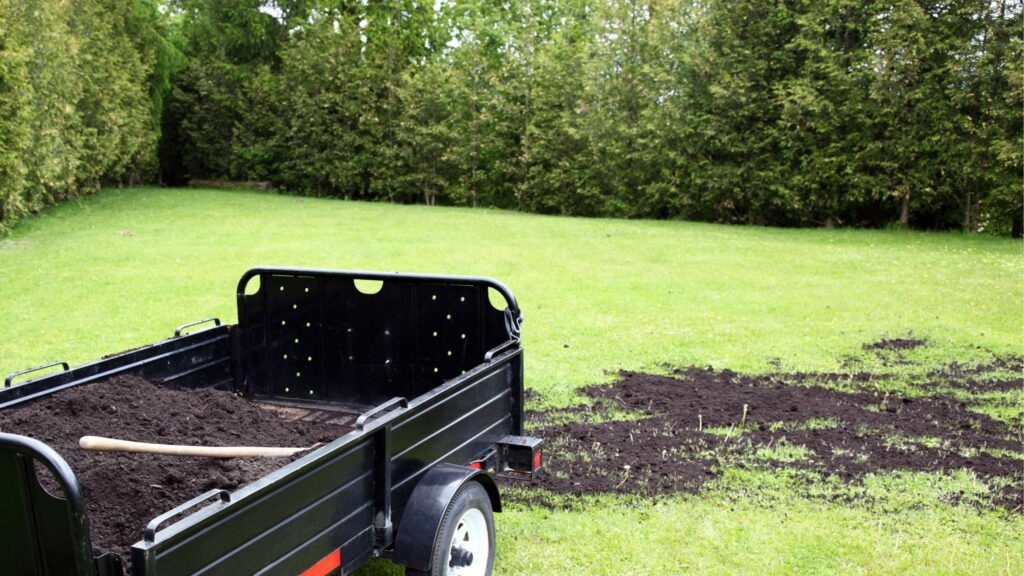 the secret to a healthier lawn compost topdressing