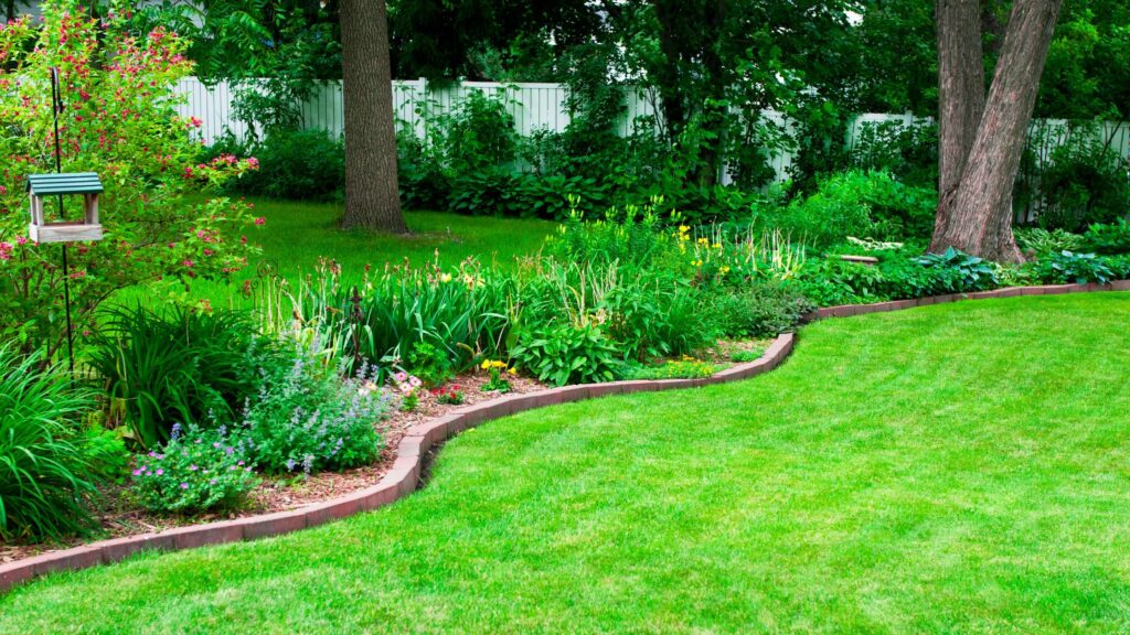 how to maintain a healthy lawn in florida’s climate