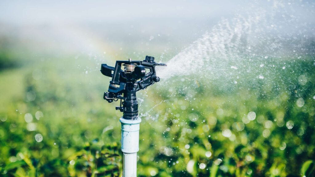 eco friendly yard design conserving water through landscaping