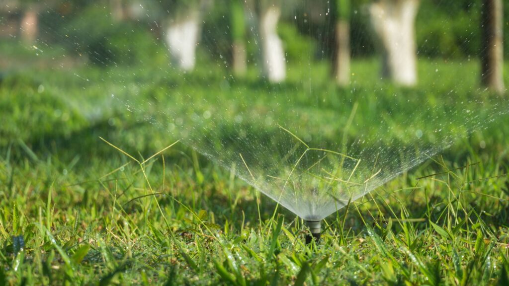post hurricane tips for sprinkler system care